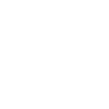 FOX logo